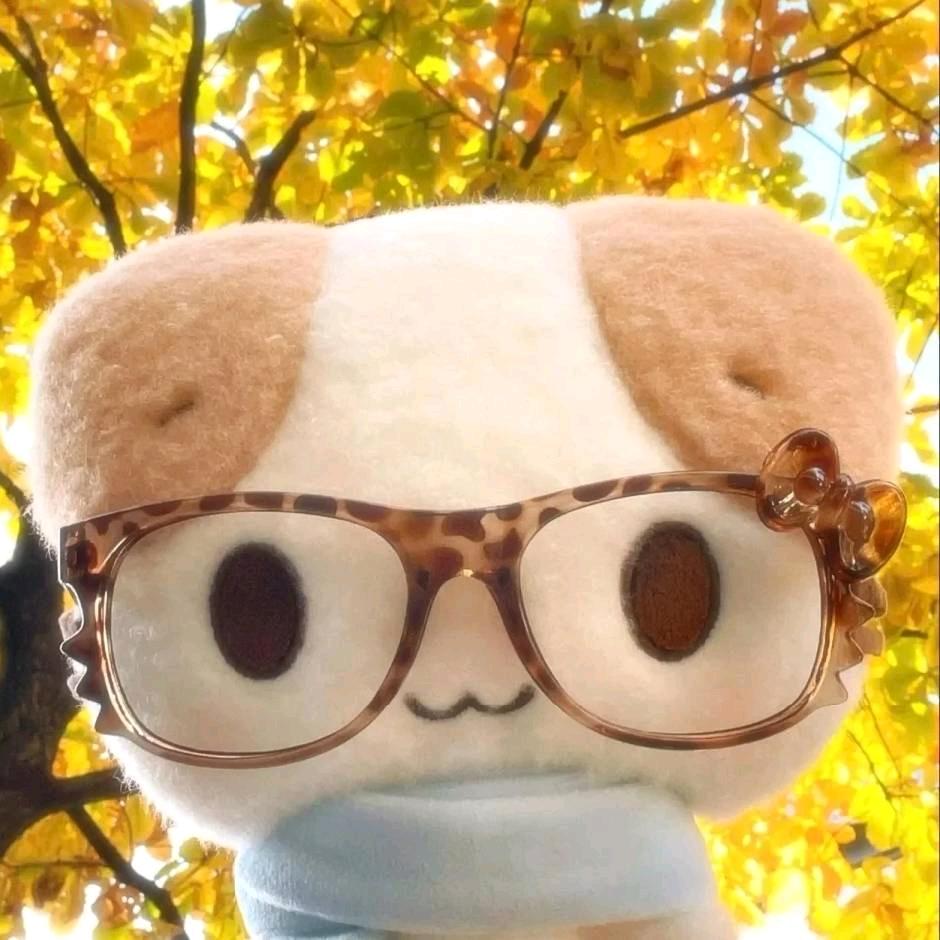 小柒君
