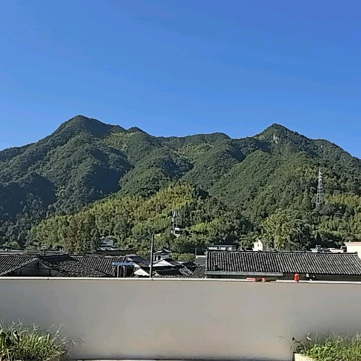 笋王陈师傅