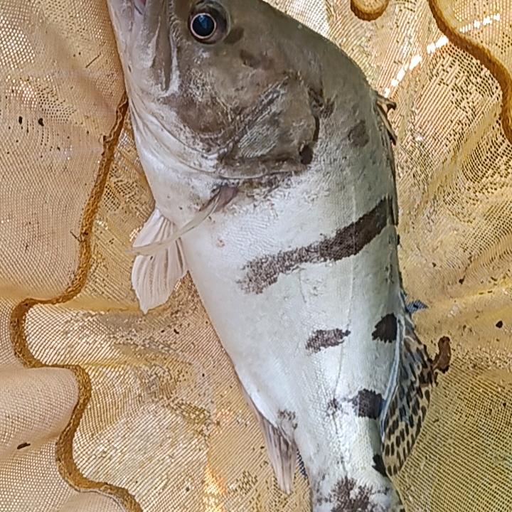 沙县-水美生态钓场