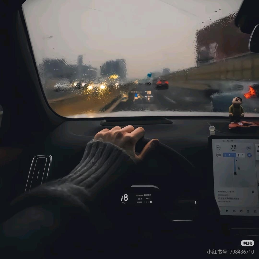 雨～微的白鹭