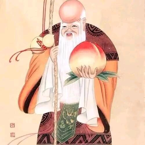 南极子