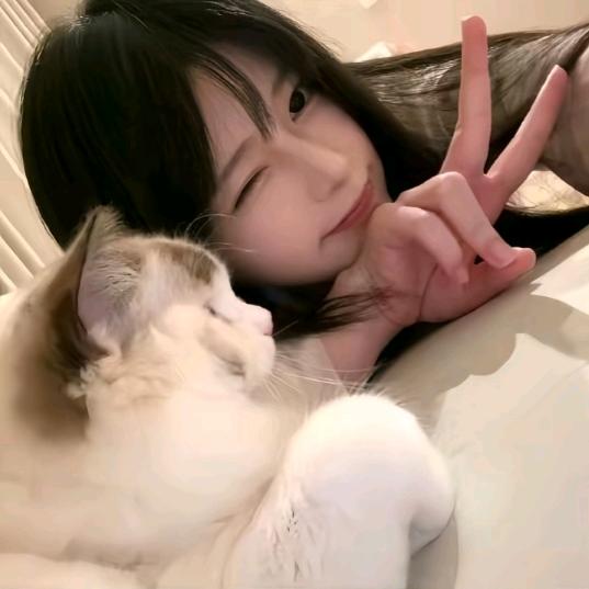 真心