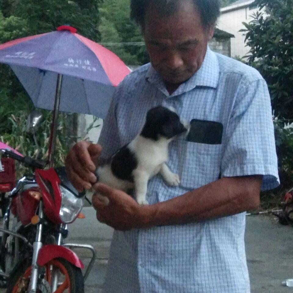 快乐永久