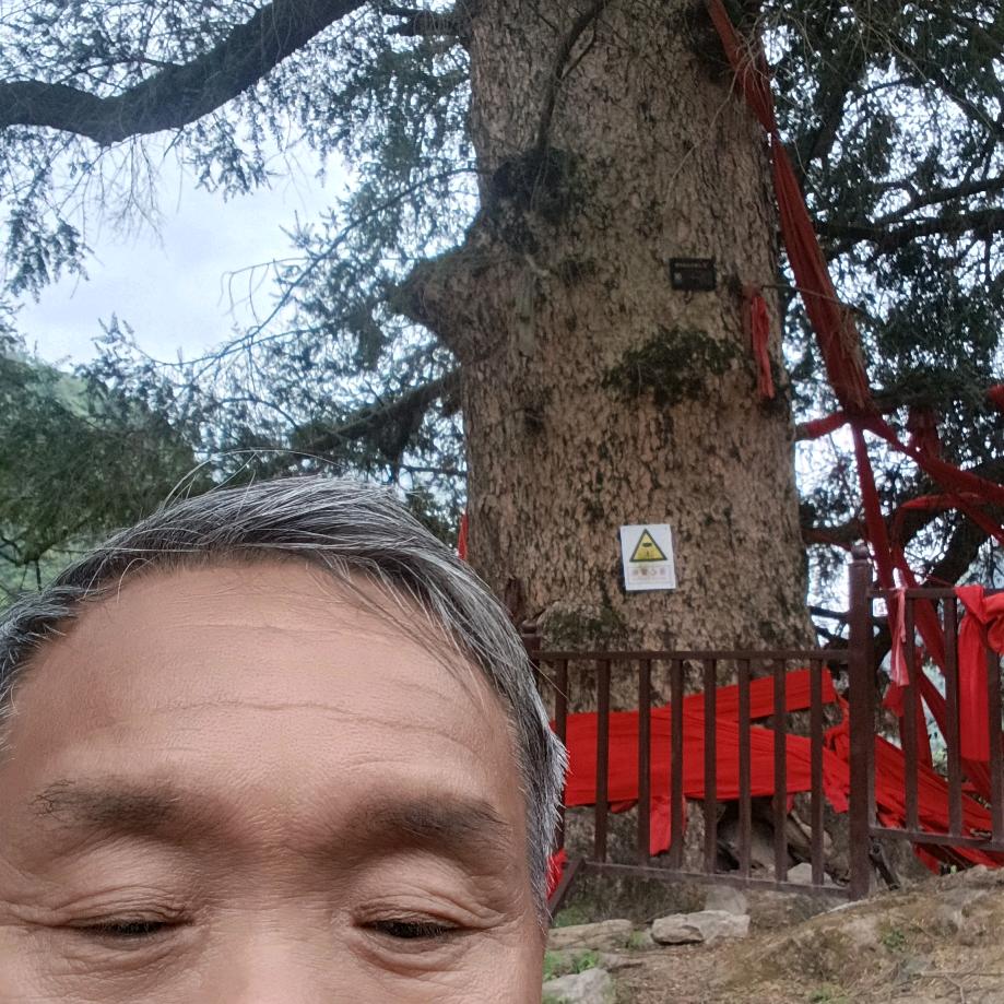 谭自金