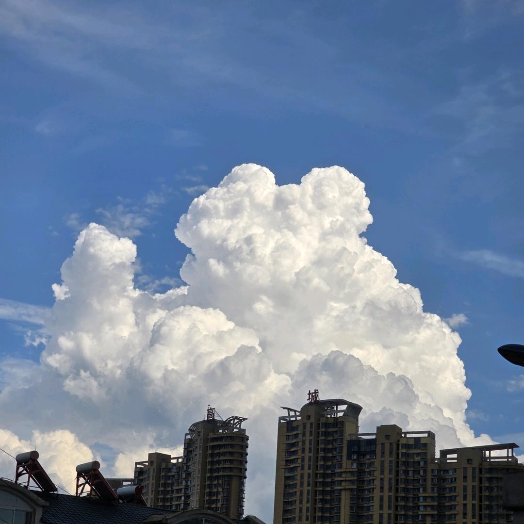 白衣卿相📷