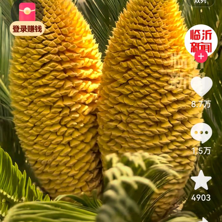 人情冷暖