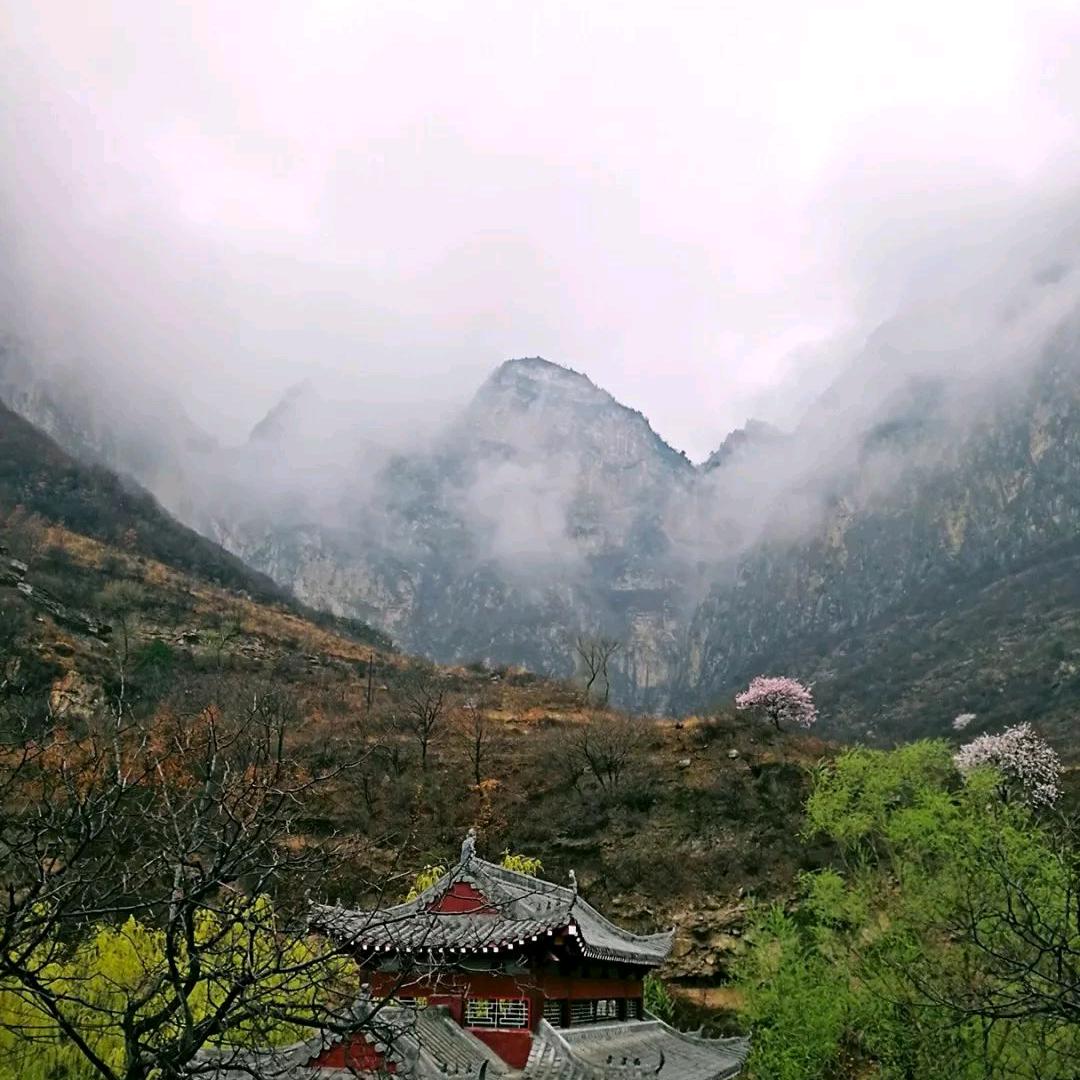 幽兰云山