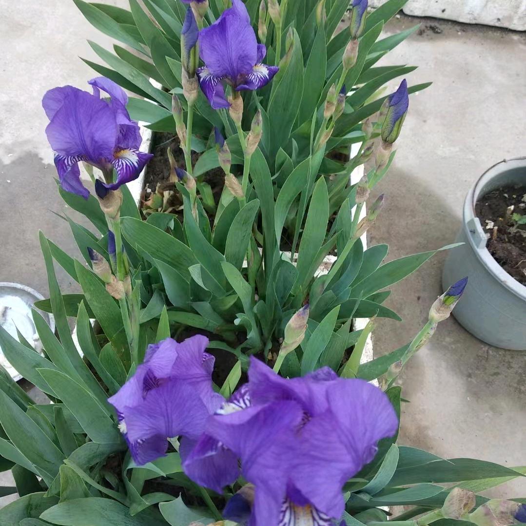 陕南农业开发利用加工