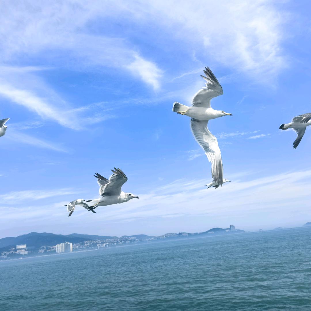 速科锐激光