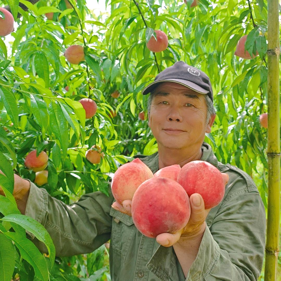 小张田园记