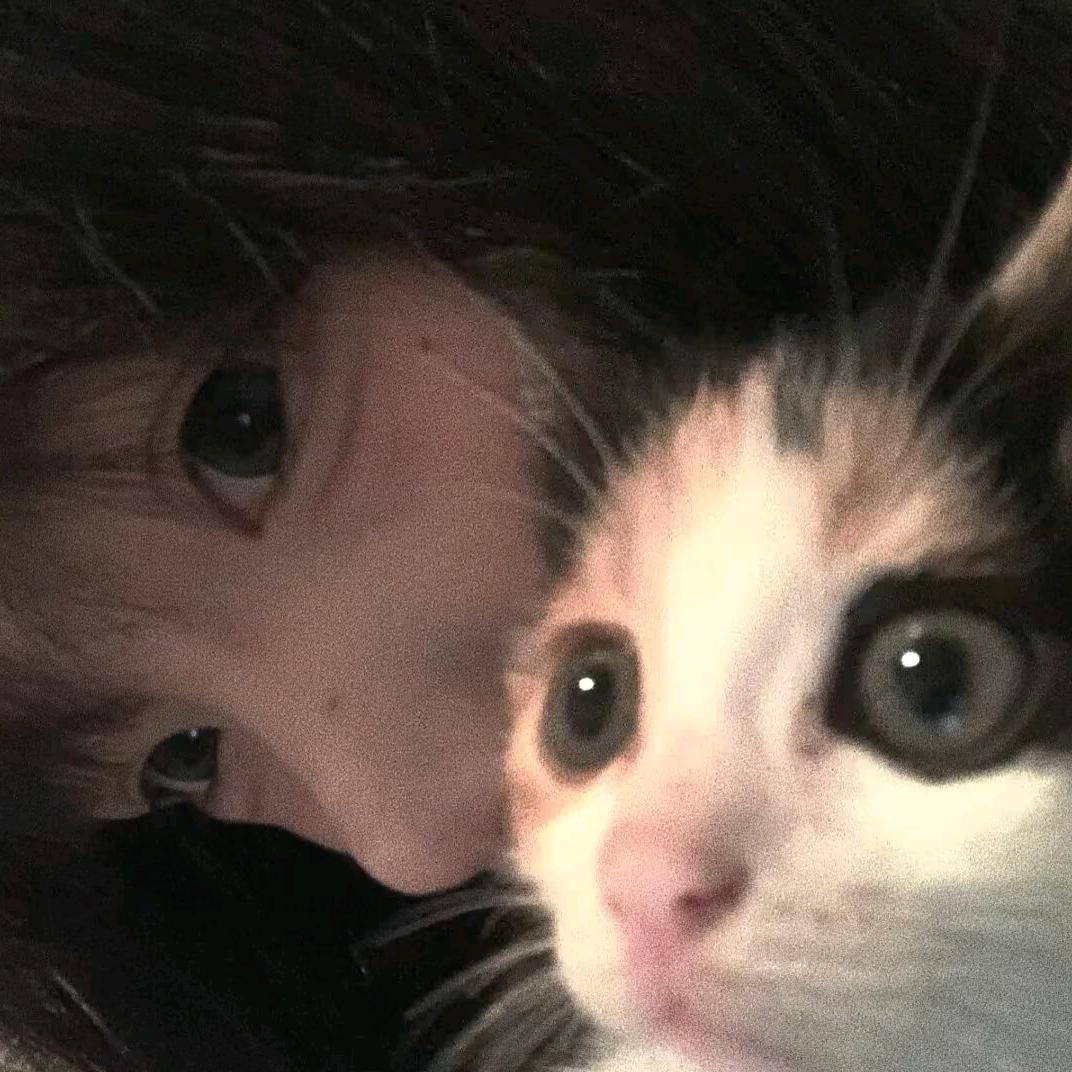 小语