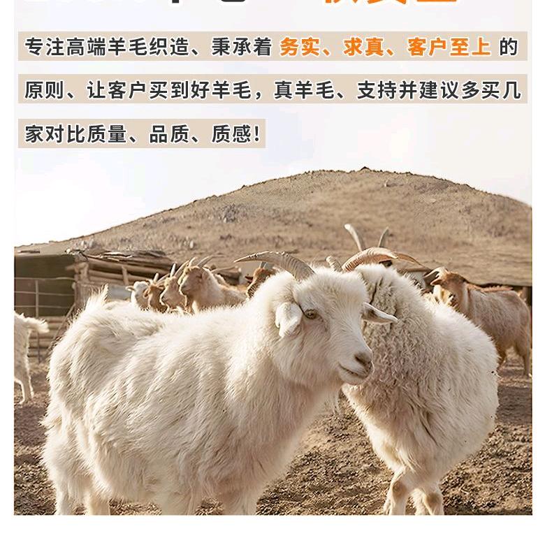 高端羊毛工厂店8