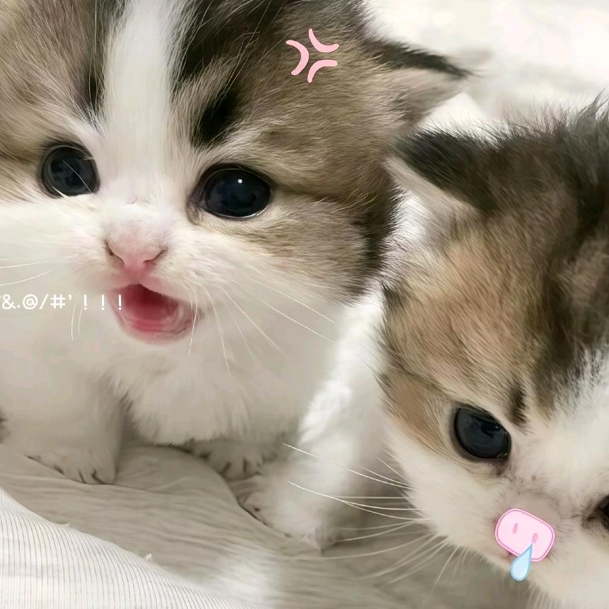 誓朽