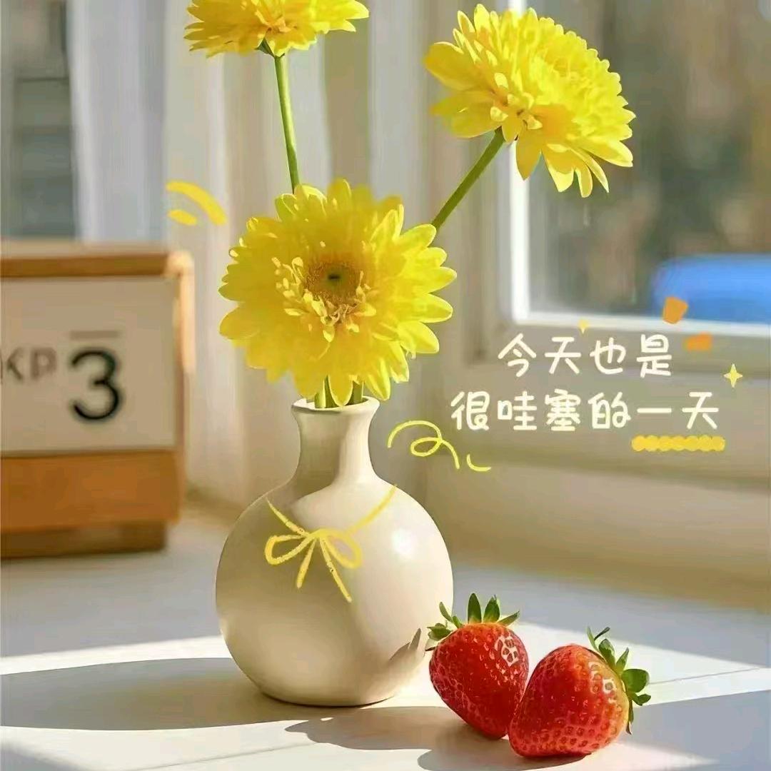 夏天的风吹不走秋天的雨