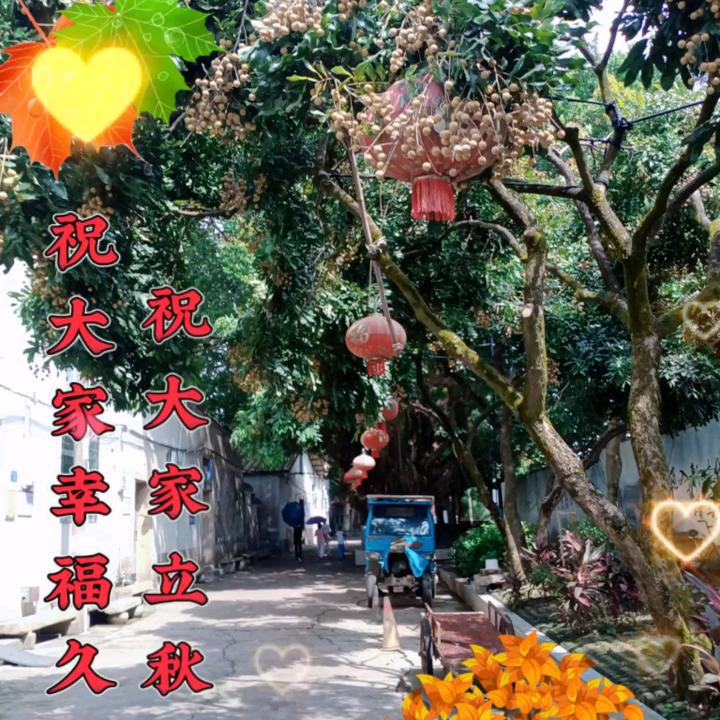 糊里糊涂