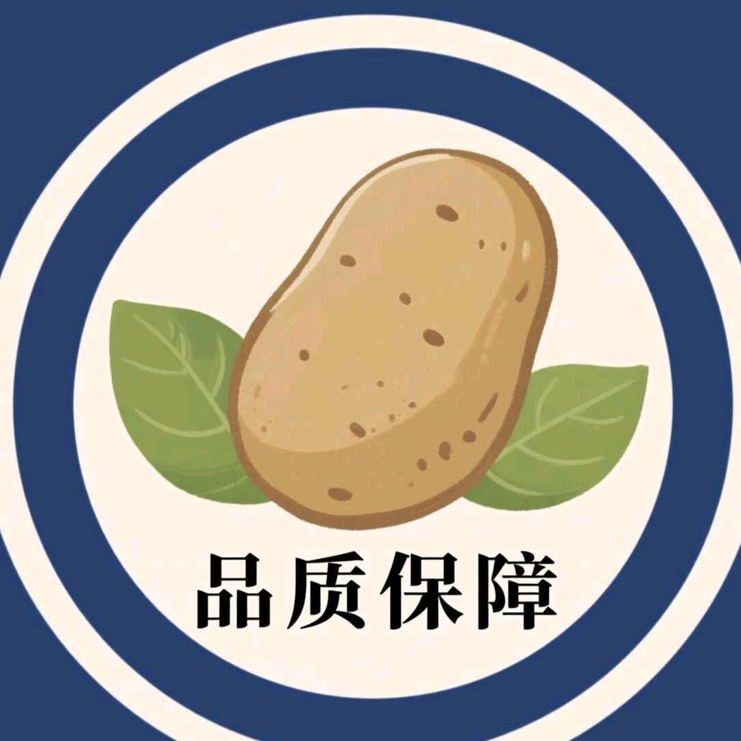 甘肃薯创未来马铃薯有限公司