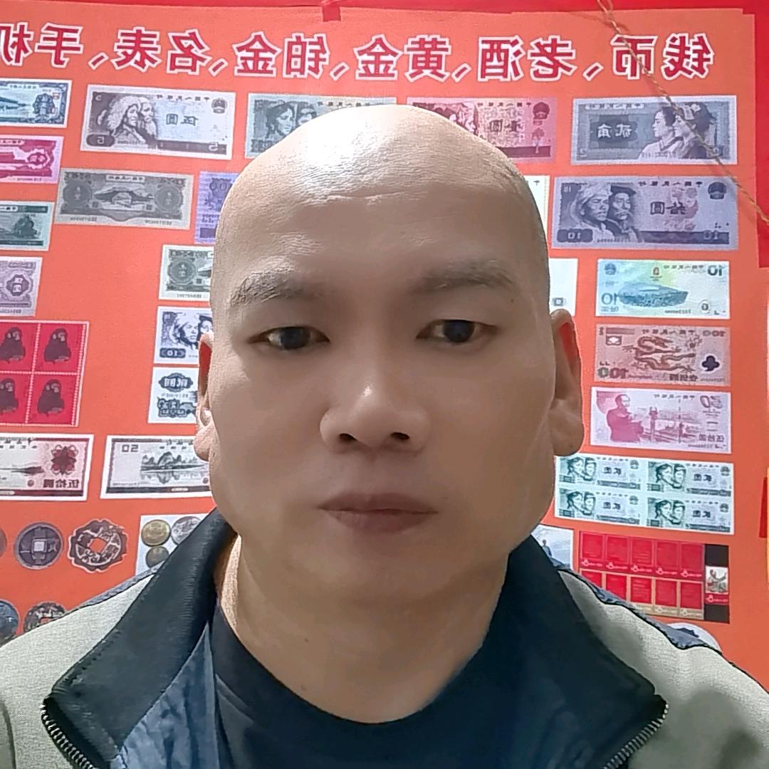 溶点8号