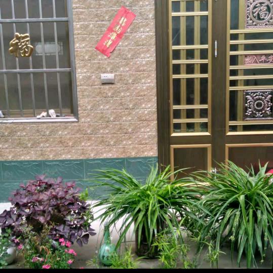 🍃🌺幸福美好🌺🍃