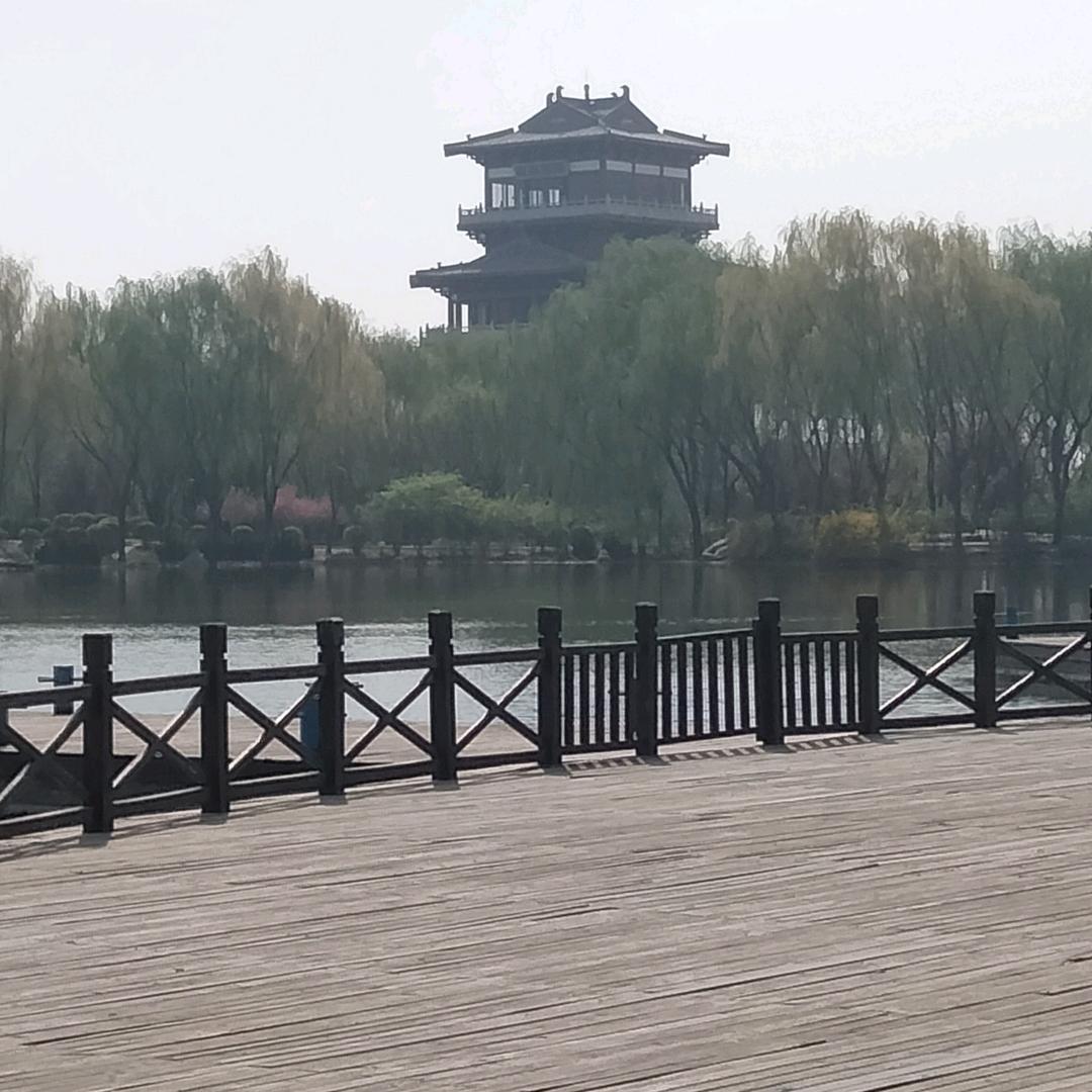 明天更美好