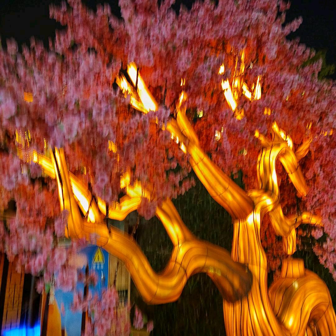 讠西早ﾉ☀谭