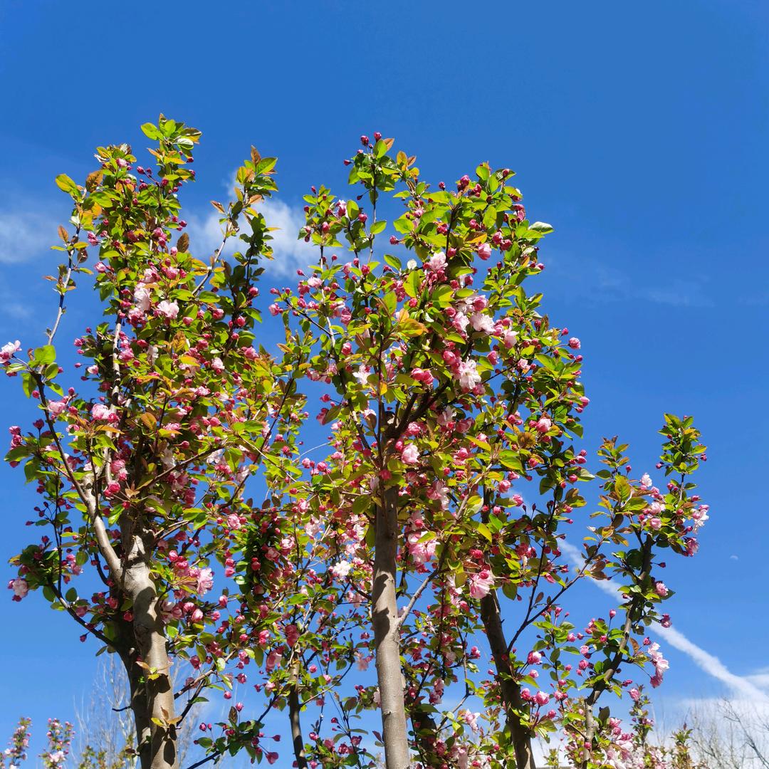 海纳百川-最好的遇见