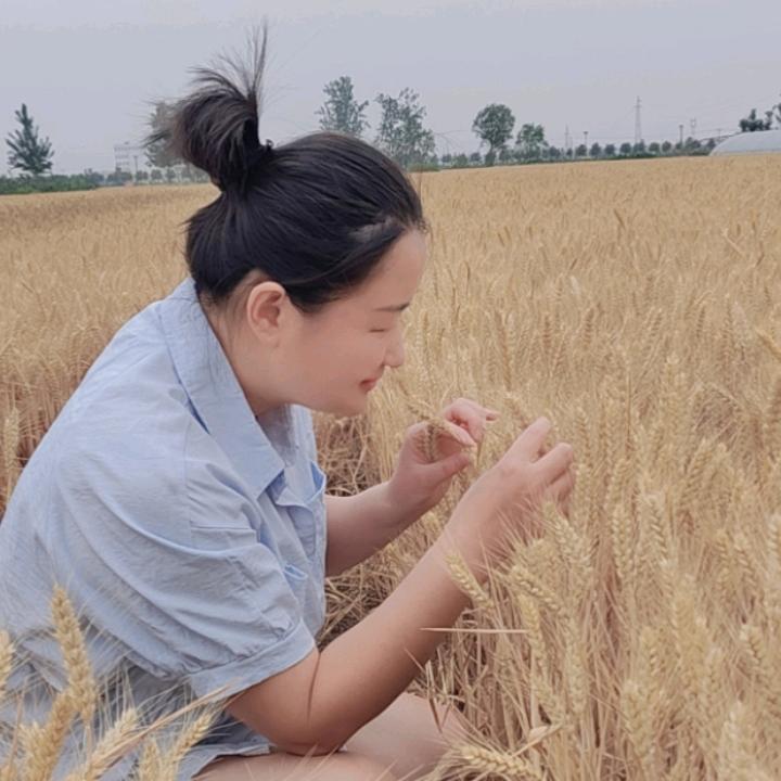 ✨🌿小魚摆個摊🐠