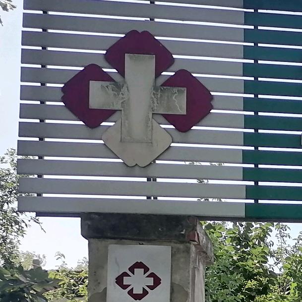 鱼朱朱