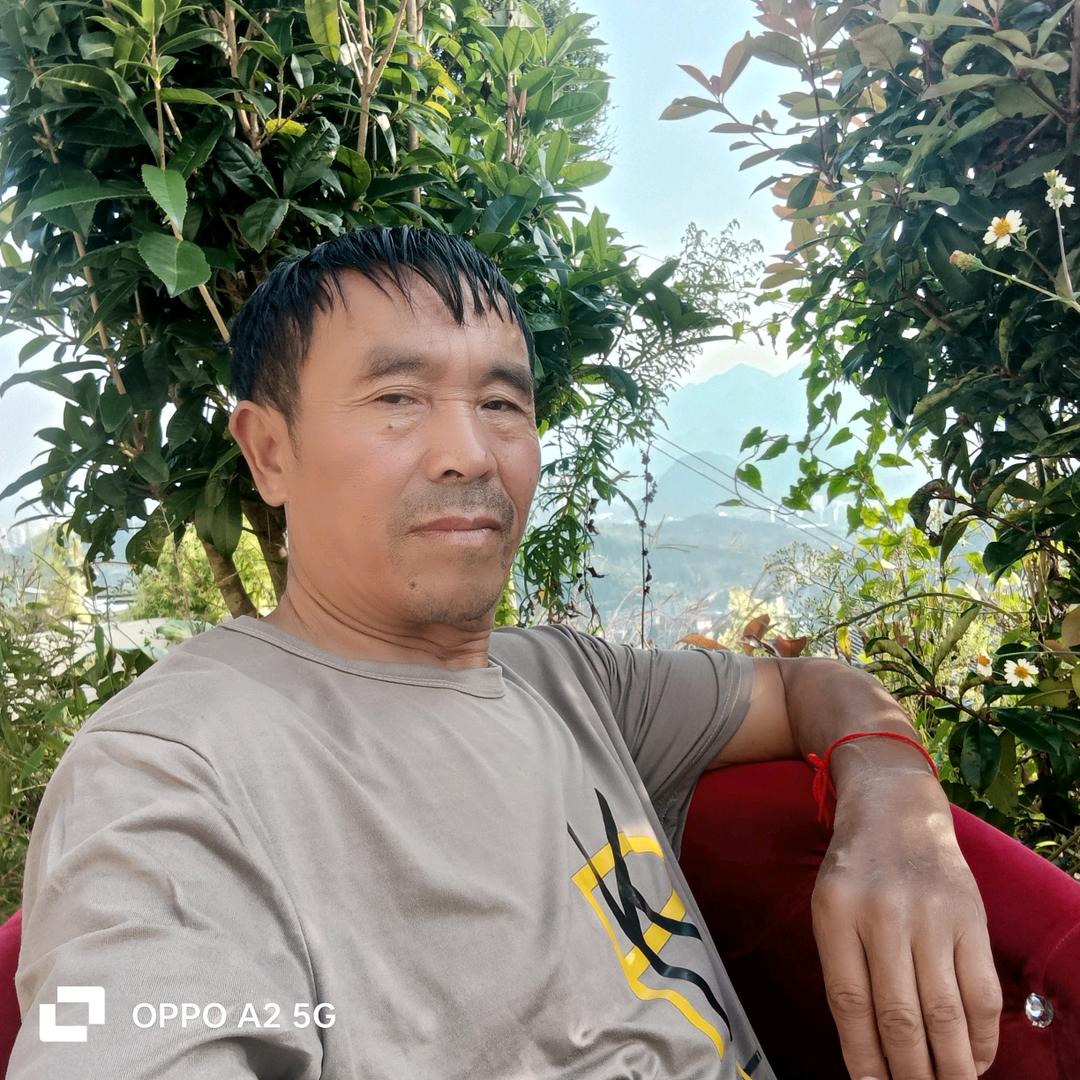 再见吧:往事(郑福哥)
