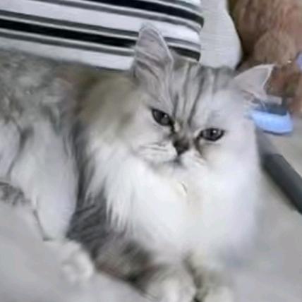 王小善