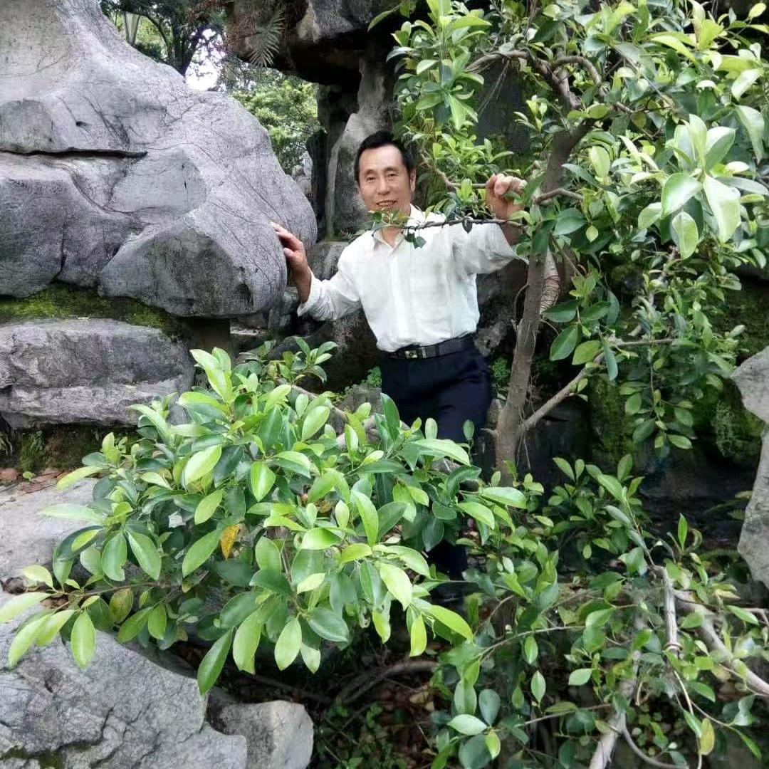健康与我牵手