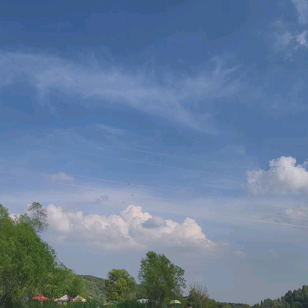 萍萍