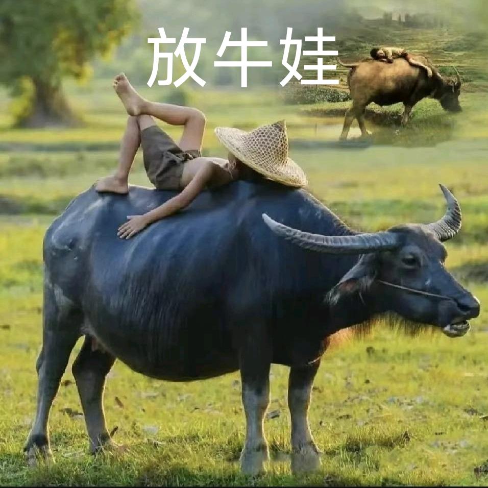 小宾车队