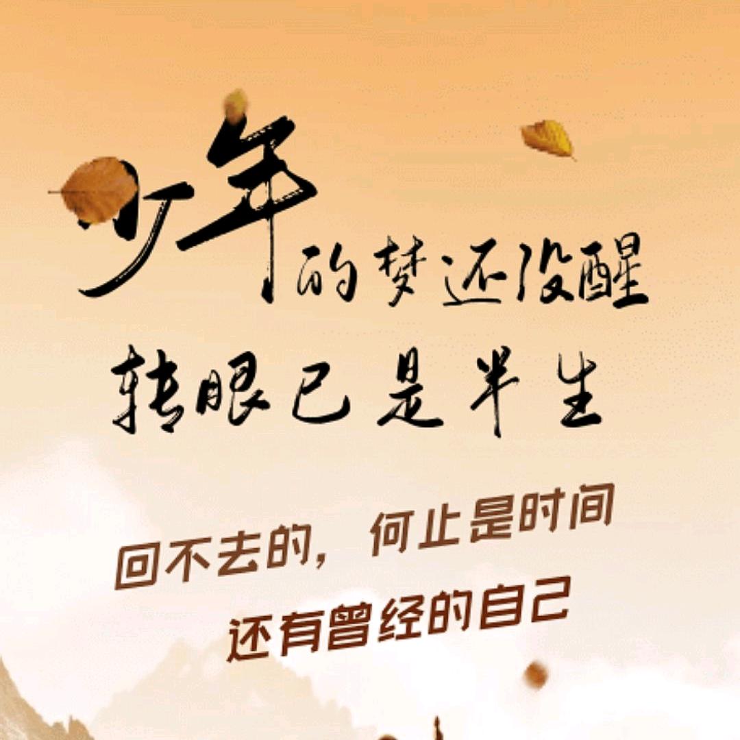 ☆猫九姑凉☆