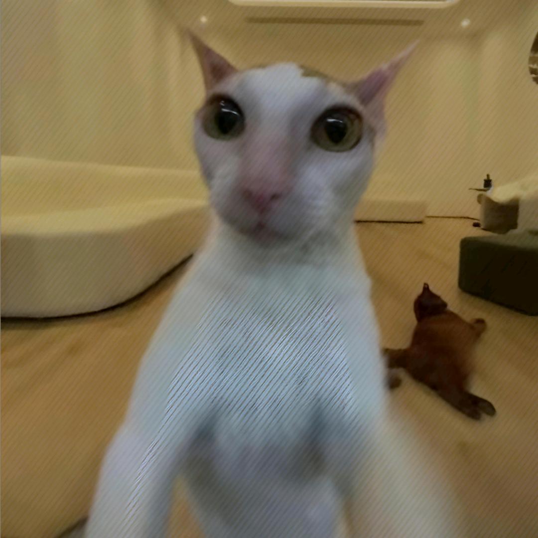 裕丰