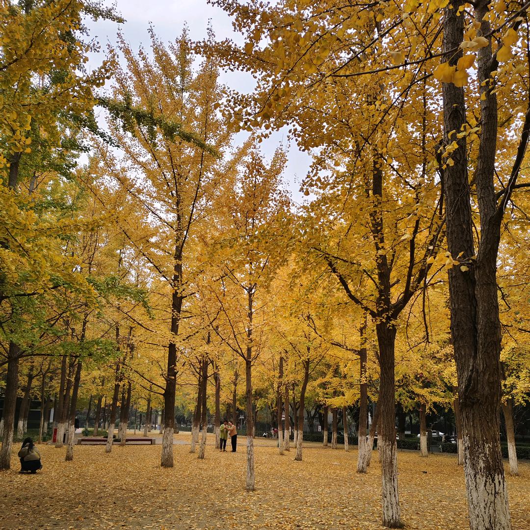 工作使我快乐^O^