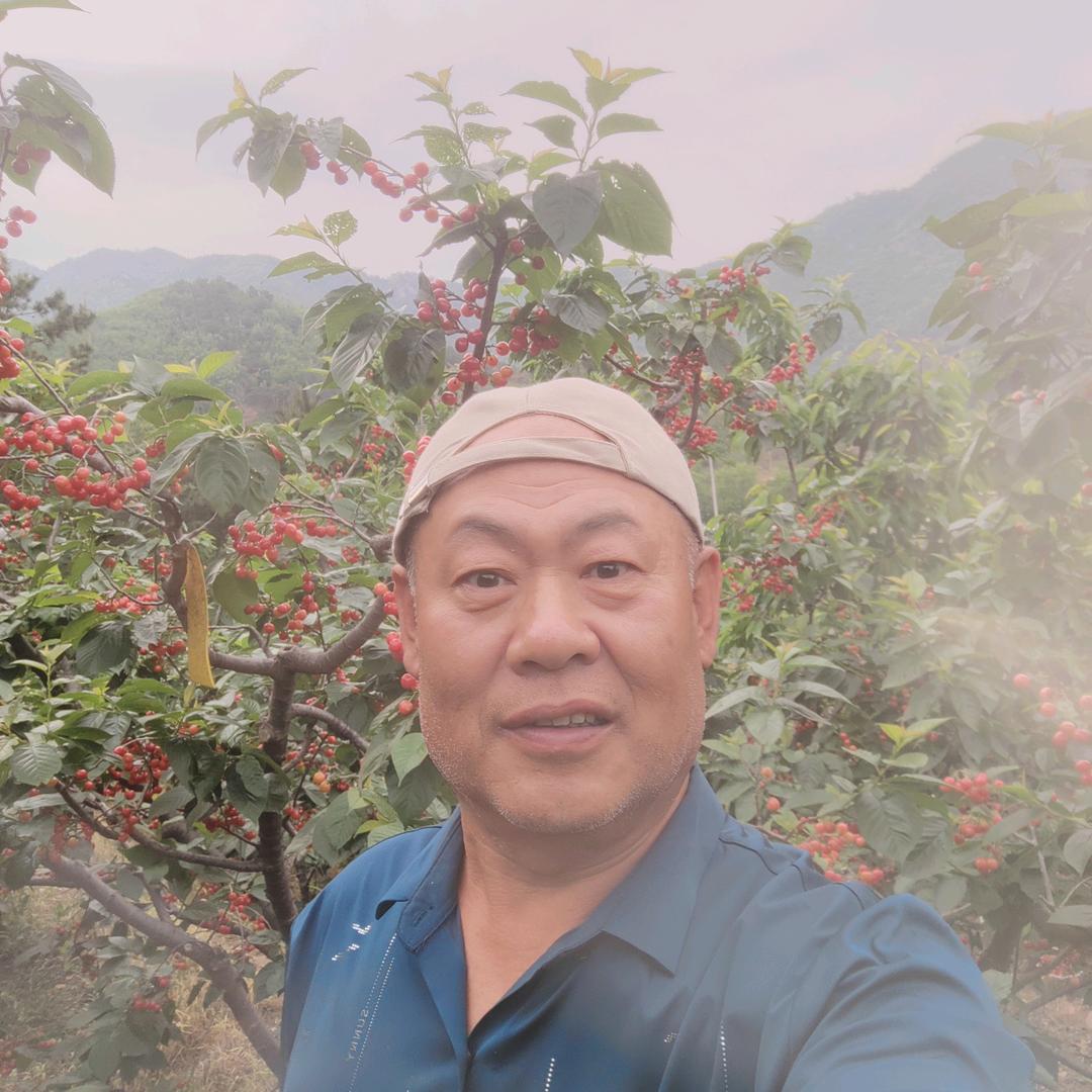 茶三哥