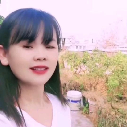 情情