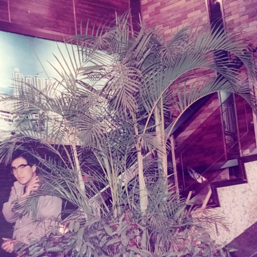 《竹岛邀月🐸诗歌库》