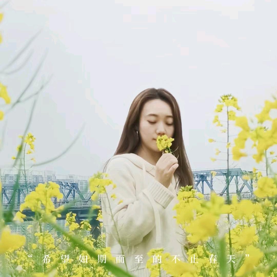 吴蚣精的一木