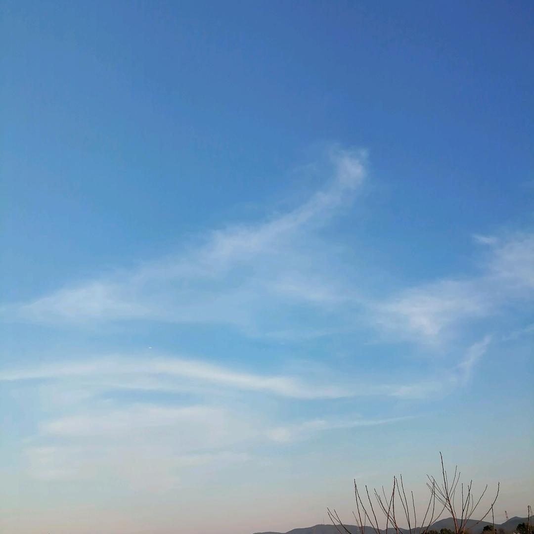 niuniu可爱