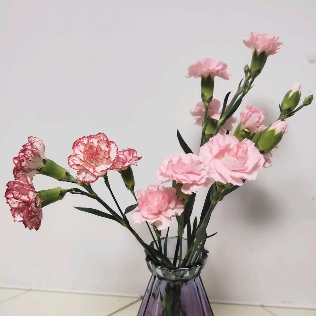 静等花开