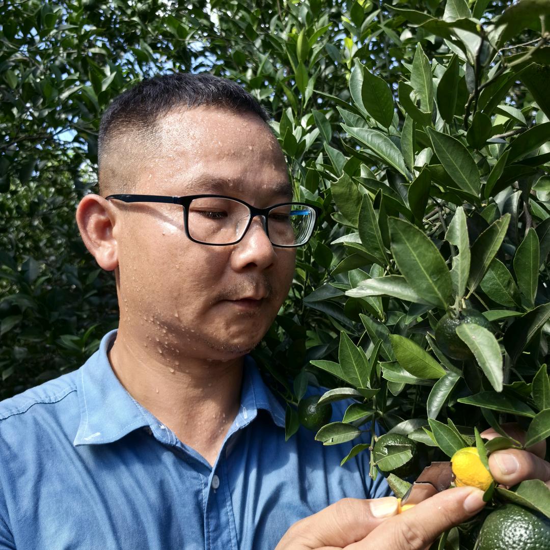 老潘农技