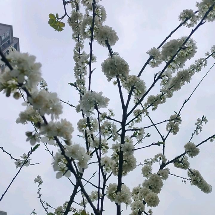开心健康最好