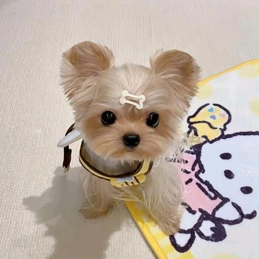 思钱。想厚。