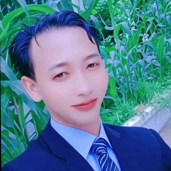 敖氏盆景鲜花花卉
