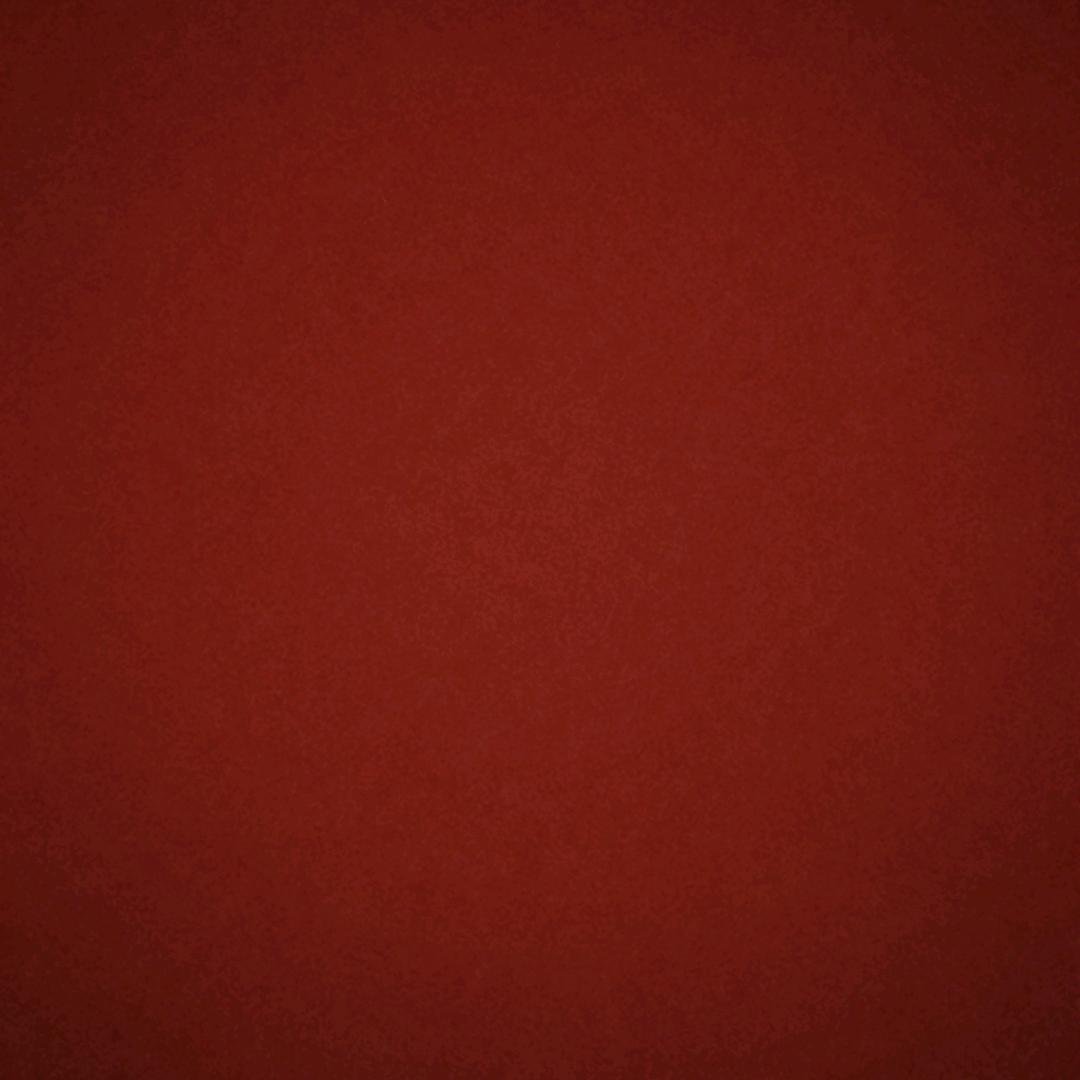 豆丁的丁