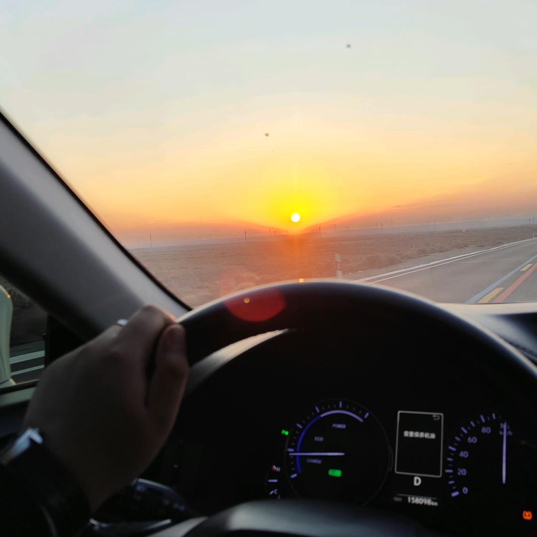 宁小导闯沙漠🐪