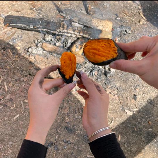 灵魂烤地瓜烤花卷