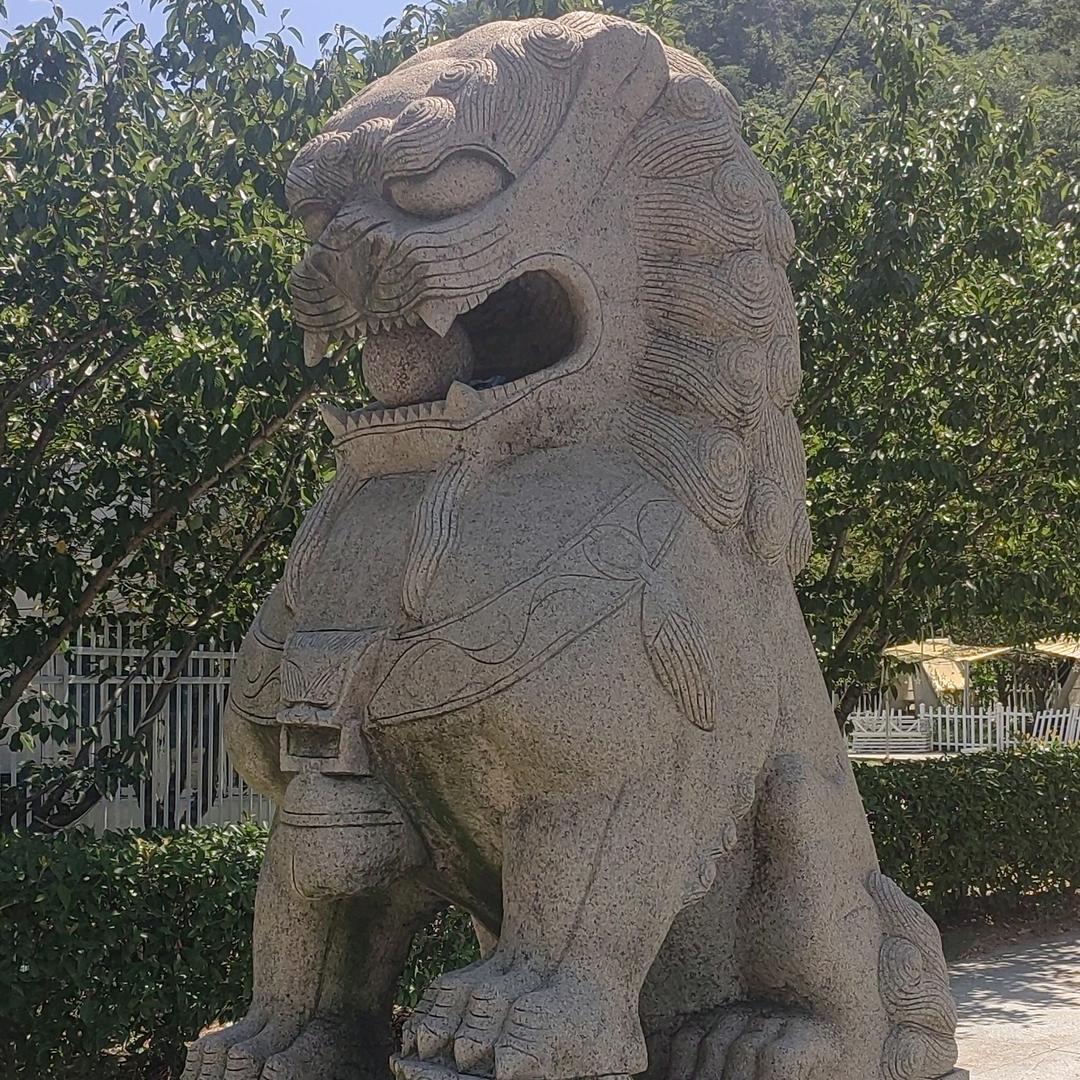 哄哄