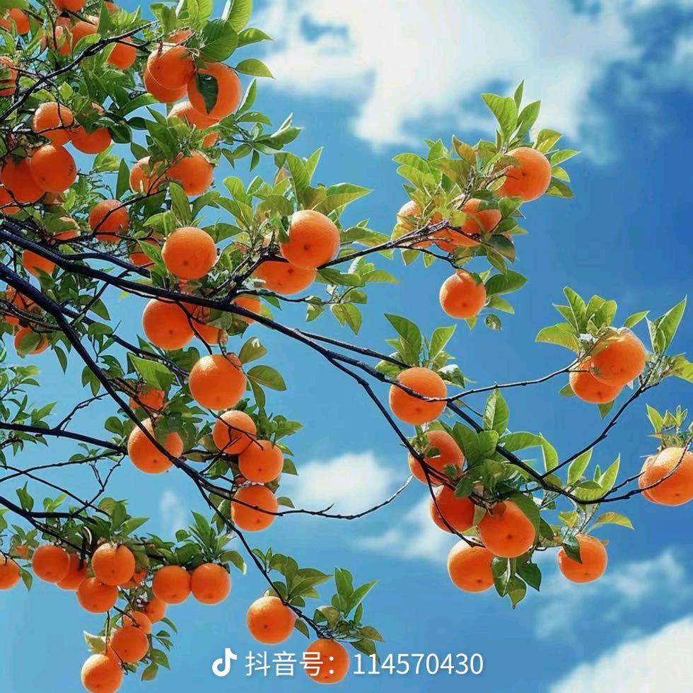 共同渡过
